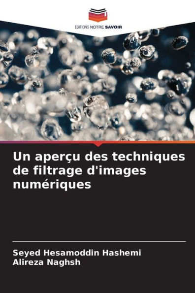 Un aperçu des techniques de filtrage d'images numériques