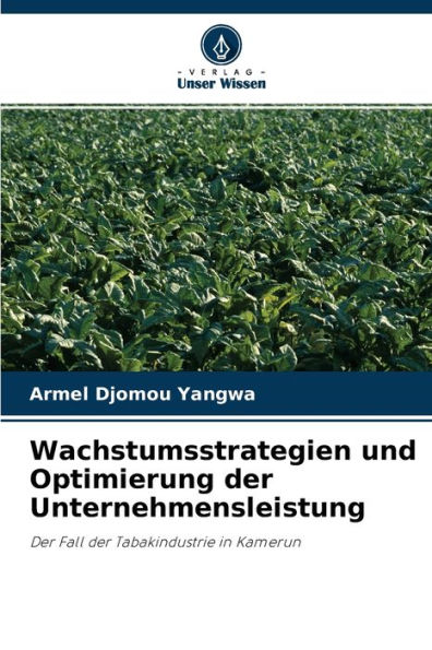 Wachstumsstrategien und Optimierung der Unternehmensleistung