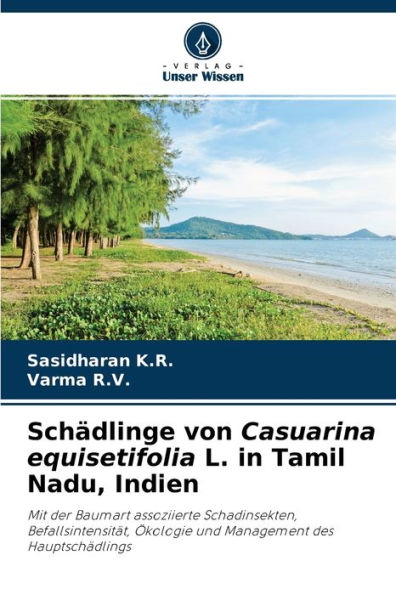 Schädlinge von Casuarina equisetifolia L. in Tamil Nadu, Indien