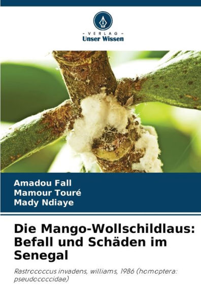 Die Mango-Wollschildlaus: Befall und Schäden im Senegal