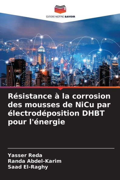 RÃ©sistance Ã  la corrosion des mousses de NiCu par Ã©lectrodÃ©position DHBT pour l'Ã©nergie