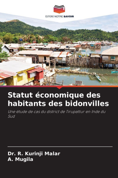 Statut �conomique des habitants des bidonvilles