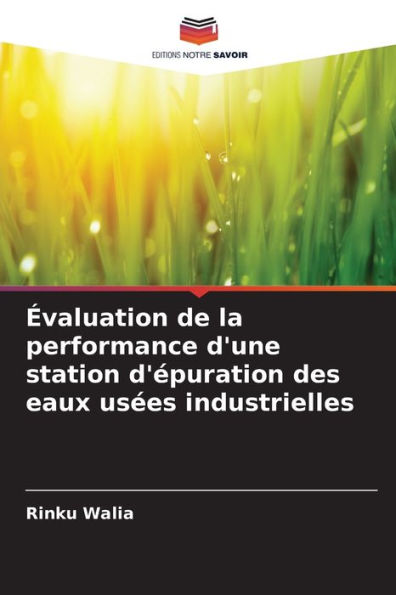 Évaluation de la performance d'une station d'épuration des eaux usées industrielles