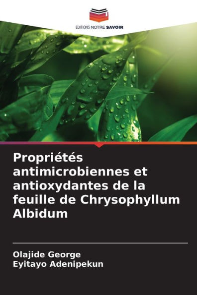 Propriétés antimicrobiennes et antioxydantes de la feuille de Chrysophyllum Albidum