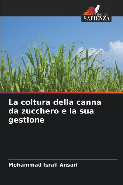 La coltura della canna da zucchero e la sua gestione