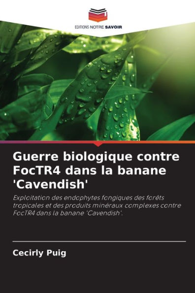 Guerre biologique contre FocTR4 dans la banane 'Cavendish'