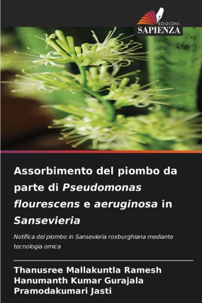 Assorbimento del piombo da parte di Pseudomonas flourescens e aeruginosa in Sansevieria