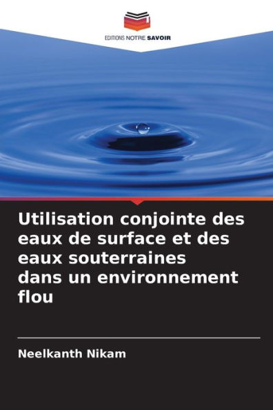 Utilisation conjointe des eaux de surface et des eaux souterraines dans un environnement flou