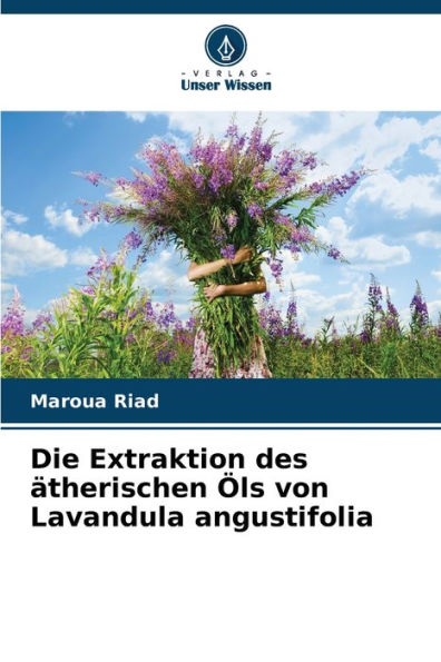 Die Extraktion des ätherischen Öls von Lavandula angustifolia
