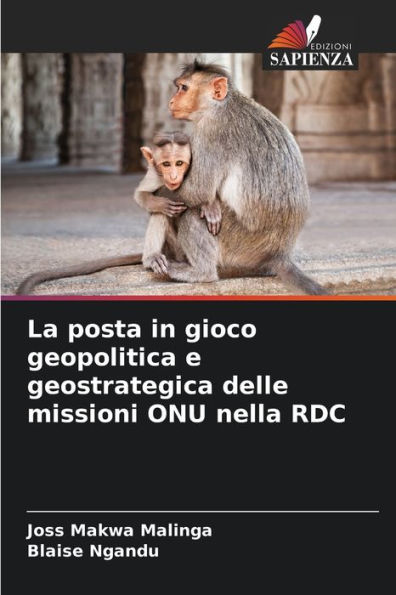 La posta in gioco geopolitica e geostrategica delle missioni ONU nella RDC