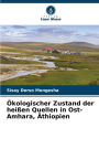 ï¿½kologischer Zustand der heiï¿½en Quellen in Ost-Amhara, ï¿½thiopien