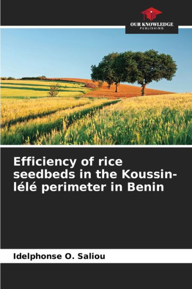 Efficiency of rice seedbeds in the Koussin-lélé perimeter in Benin