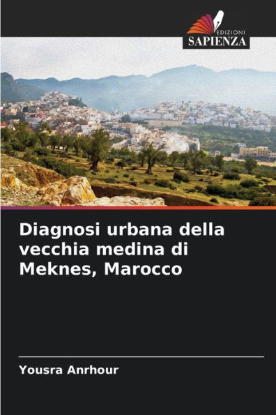 Diagnosi urbana della vecchia medina di Meknes, Marocco