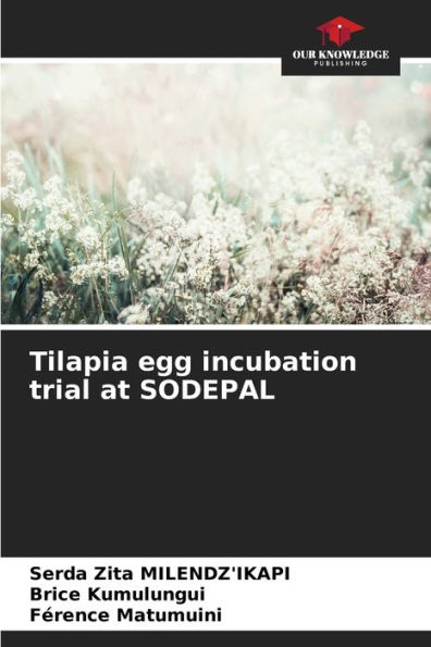 Tilapia egg incubation trial at SODEPAL