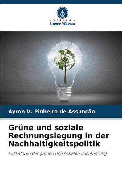 Grüne und soziale Rechnungslegung in der Nachhaltigkeitspolitik