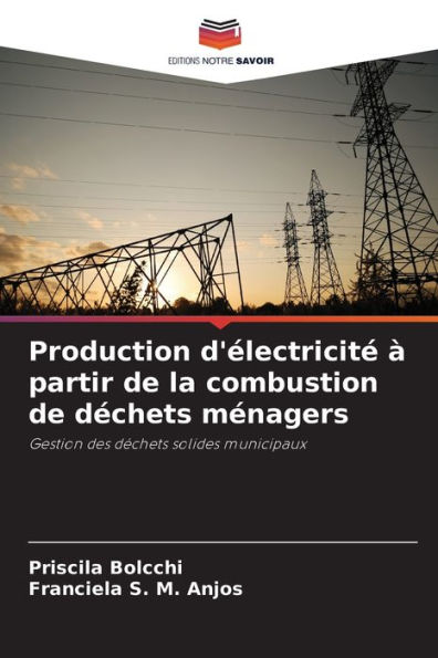 Production d'électricité à partir de la combustion de déchets ménagers