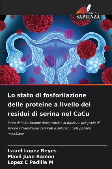 Lo stato di fosforilazione delle proteine a livello dei residui di serina nel CaCu