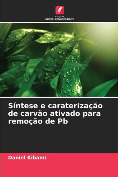 Síntese e caraterização de carvão ativado para remoção de Pb