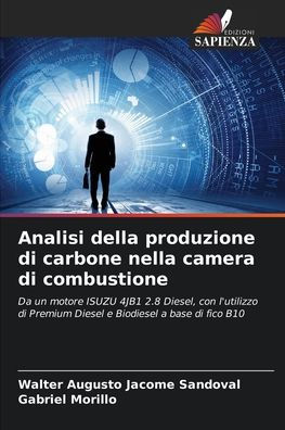 Analisi della produzione di carbone nella camera di combustione