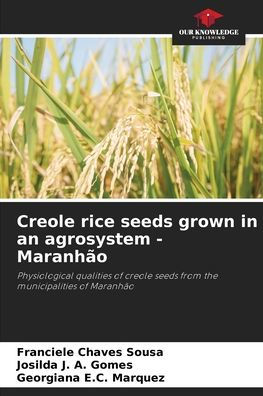 Creole rice seeds grown in an agrosystem - Maranhão