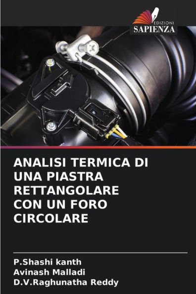 Analisi Termica Di Una Piastra Rettangolare Con Un Foro Circolare