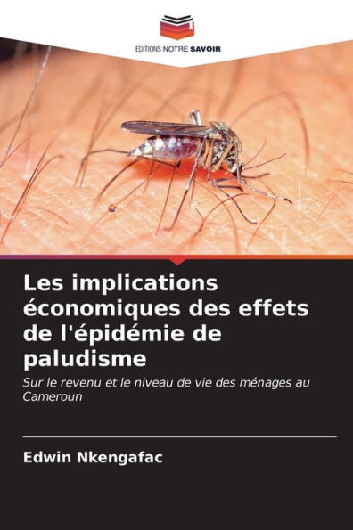 Les implications Ã©conomiques des effets de l'Ã©pidÃ©mie de paludisme