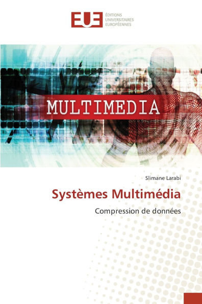 Systï¿½mes Multimï¿½dia