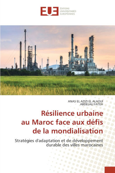 Rï¿½silience urbaine au Maroc face aux dï¿½fis de la mondialisation