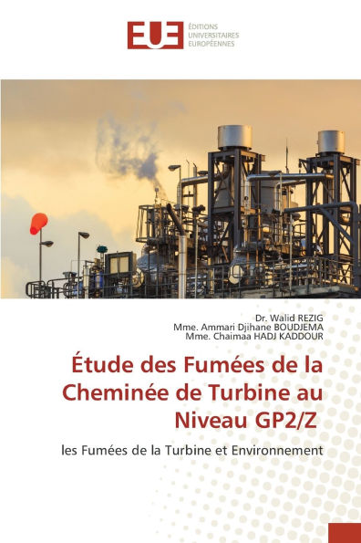 ï¿½tude des Fumï¿½es de la Cheminï¿½e de Turbine au Niveau GP2/Z