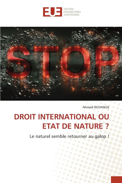 Droit International Ou Etat de Nature ?