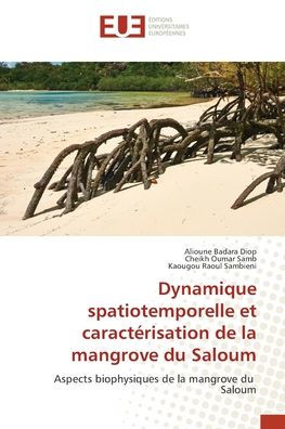 Dynamique spatiotemporelle et caractï¿½risation de la mangrove du Saloum