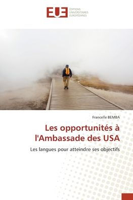 Les opportunitï¿½s ï¿½ l'Ambassade des USA