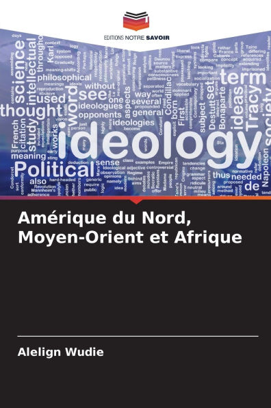 AmÃ¯Â¿Â½rique du Nord, Moyen-Orient et Afrique