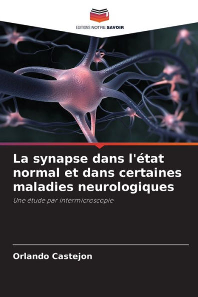 La synapse dans l'Ã¯Â¿Â½tat normal et dans certaines maladies neurologiques