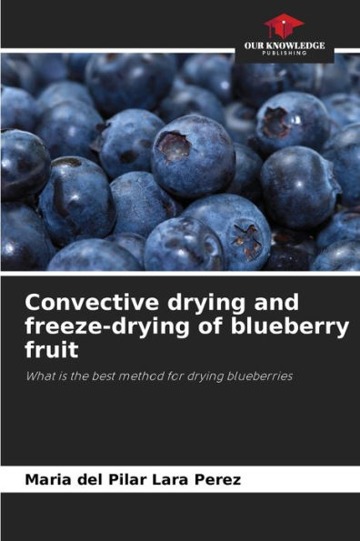 Convective drying and freeze-drying of blueberry fruit