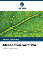 Aframomum corrorima