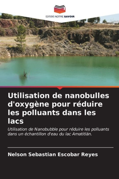 Utilisation de nanobulles d'oxygÃ¨ne pour rÃ©duire les polluants dans les lacs