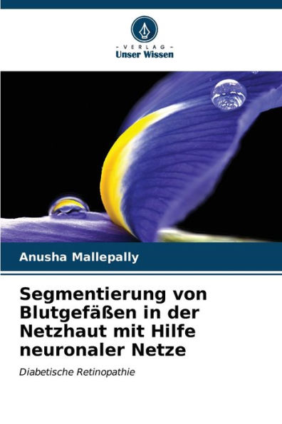 Segmentierung von BlutgefÃ¤ÃYen in der Netzhaut mit Hilfe neuronaler Netze