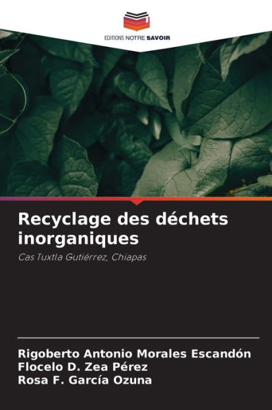 Recyclage des dÃ©chets inorganiques