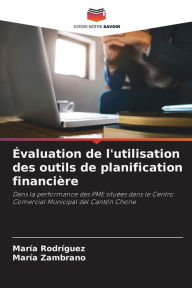 Title: ï¿½valuation de l'utilisation des outils de planification financiï¿½re, Author: Marïa Rodrïguez
