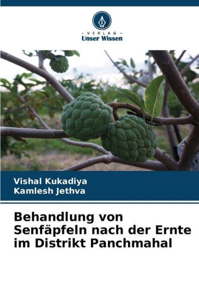 Behandlung von Senfï¿½pfeln nach der Ernte im Distrikt Panchmahal