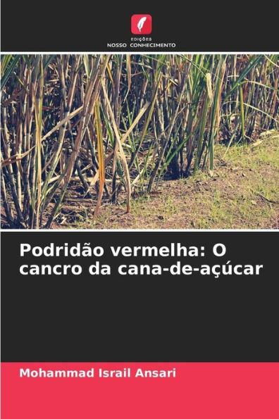 Podridï¿½o vermelha: O cancro da cana-de-aï¿½ï¿½car