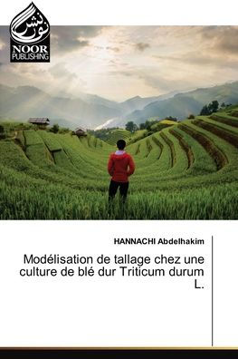 Modï¿½lisation de tallage chez une culture de blï¿½ dur Triticum durum L.