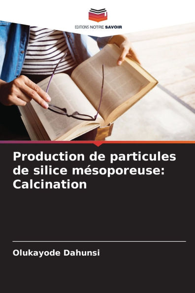 Production de particules de silice mÃ¯Â¿Â½soporeuse: Calcination