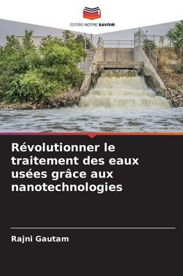 Rï¿½volutionner le traitement des eaux usï¿½es grï¿½ce aux nanotechnologies