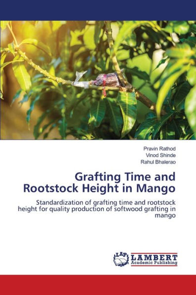 Grafting Time and Rootstock Height in Mango