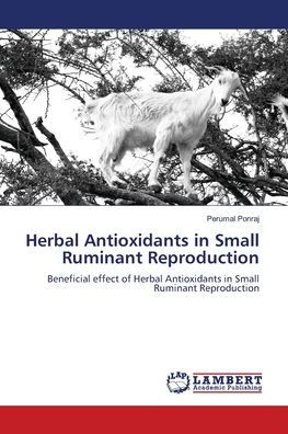 Herbal Antioxidants in Small Ruminant Reproduction