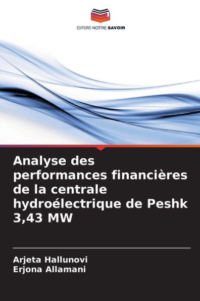 Analyse des performances financiï¿½res de la centrale hydroï¿½lectrique de Peshk 3,43 MW