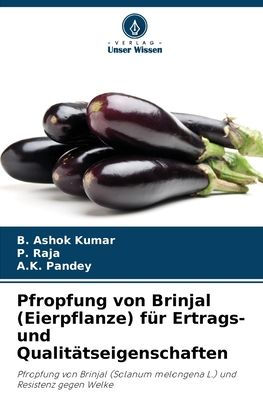 Pfropfung von Brinjal (Eierpflanze) fï¿½r Ertrags- und Qualitï¿½tseigenschaften