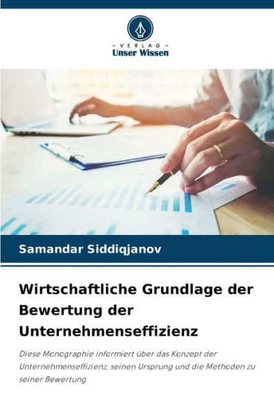 Wirtschaftliche Grundlage der Bewertung der Unternehmenseffizienz